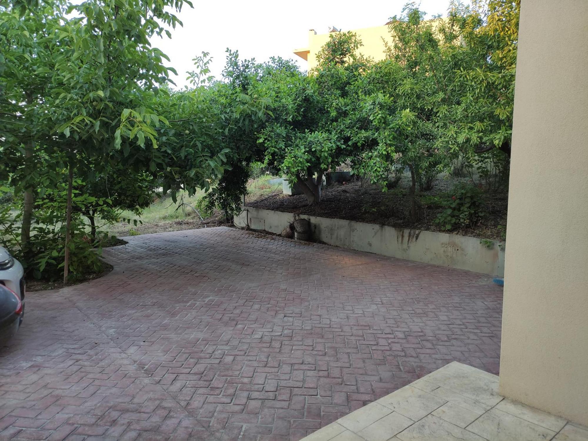 Under The Trees Apartment Heraklion Exterior foto